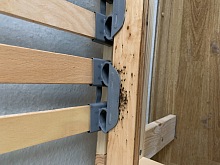 Deratizace štěnic 1