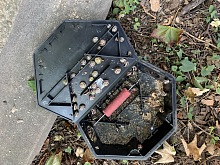 Deratizace hlodavců